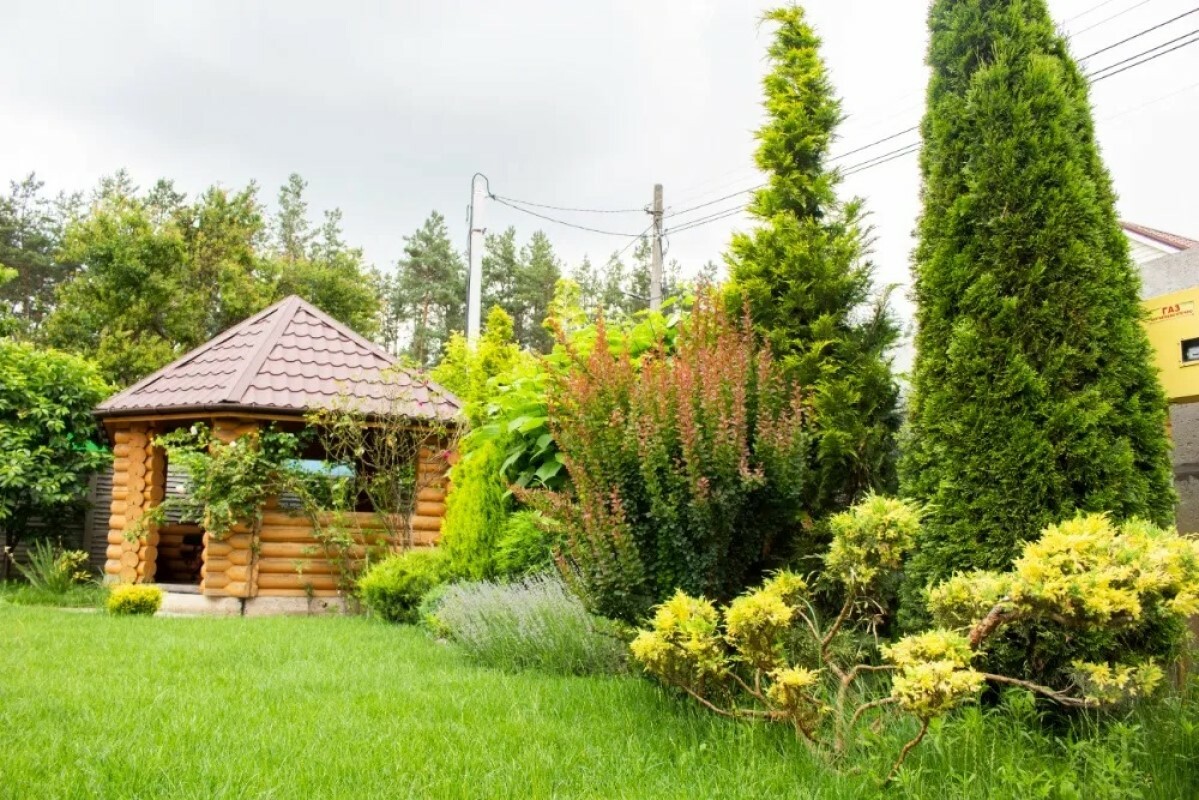 https://voronezh.tgv-stroy.ru/storage/app/uploads/public/637/ef4/fb3/637ef4fb3605f391429275.png